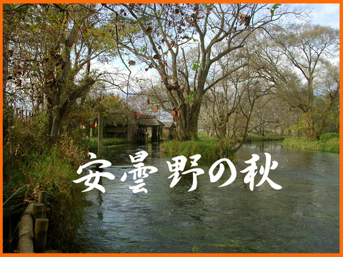 安曇野の秋。実り豊かな里山。_e0236072_0105511.jpg