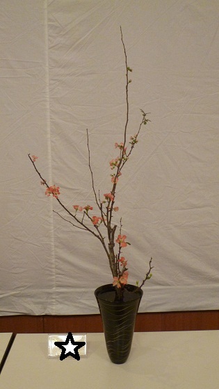 初めての花展☆_d0230676_12414376.jpg