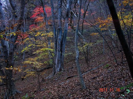 No.0794　初冬の吾妻渓谷　さび色風景_f0104277_161519.jpg