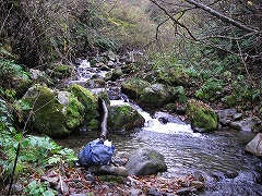 山越えして旧徳山の茂津谷へ_e0064783_88365.jpg