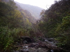 山越えして旧徳山の茂津谷へ_e0064783_884943.jpg