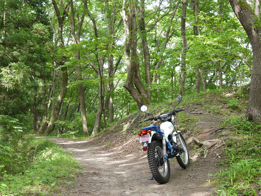 HONDA TL125_d0244687_20334951.jpg