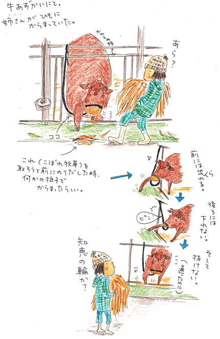 ひとり知恵の輪_f0236291_828584.gif