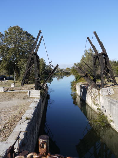 c0090198_4205856.jpg