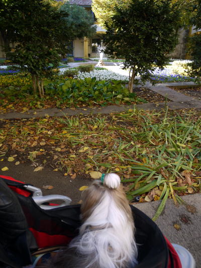 c0090198_431693.jpg