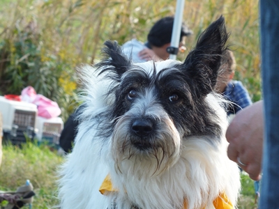 e0242804_22433251.jpg