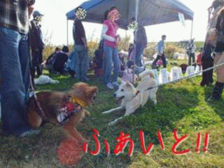 e0242804_23482086.gif
