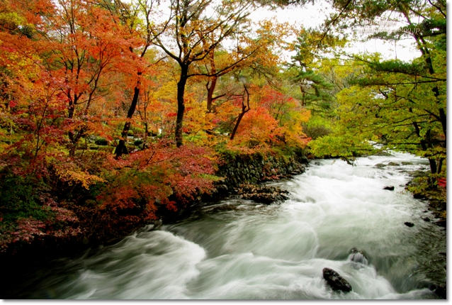 河口湖の紅葉回廊　と　鐘山苑のお庭_f0179404_9472861.jpg