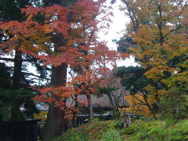 e0243008_11453044.jpg