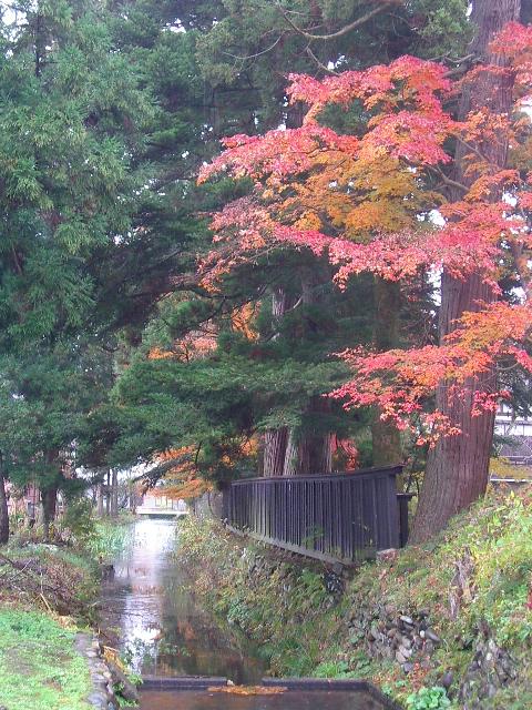 e0243008_11453935.jpg