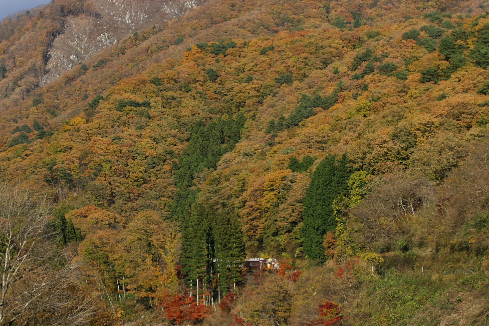 炎 - 2011年秋・わたらせ -_b0190710_2271818.jpg