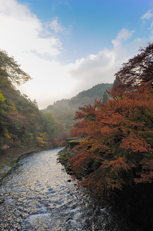 2011京都の紅葉・神護寺　其の一_f0032011_17272525.jpg