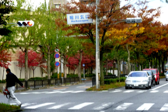 色付く街路樹と托鉢_e0048413_17443935.jpg