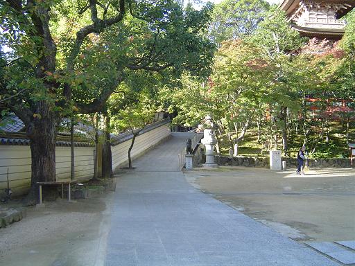 a0114314_20363073.jpg