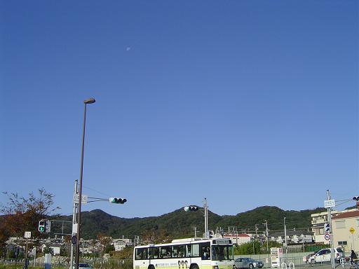 a0114314_20525516.jpg