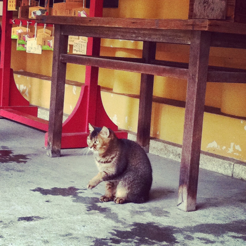 そして通り掛かりの神社にお参り。_b0123314_1084278.jpg