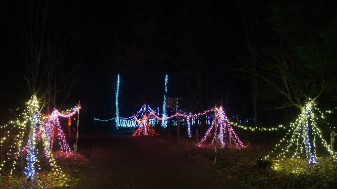 TWIN ILLUMINATION サウンド・オブ・イルミネーション（国営アルプスあづみの公園　大町・松川地区）_f0233414_21513118.jpg