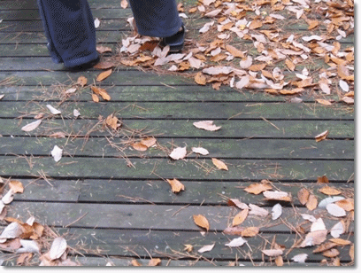 b0167519_22293316.gif
