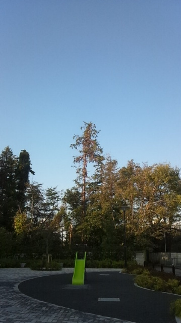 c0056932_16391466.jpg