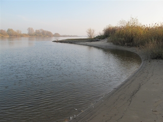 an der Elbe （もう１つのリューネブルグ）_f0224632_20472546.jpg