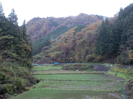 【111120】篭岩登山　断念報告（泣_c0108034_16445478.jpg