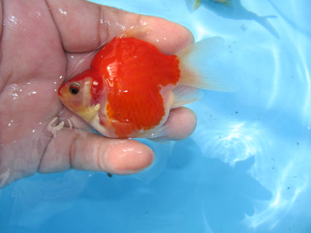 f0214235_14494961.jpg
