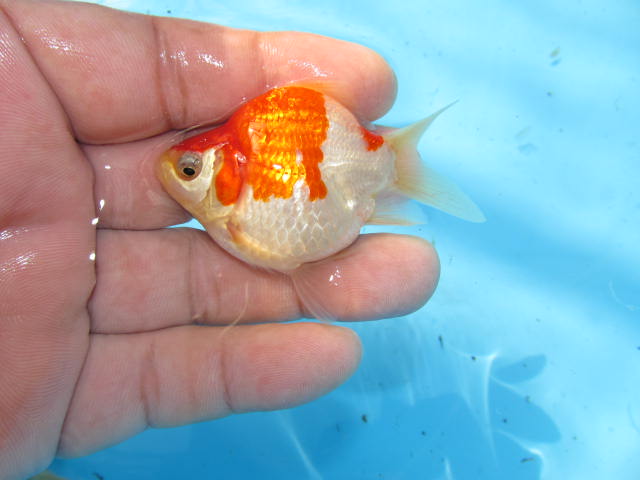 f0214235_1501459.jpg