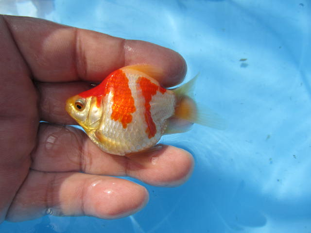 f0214235_15145332.jpg