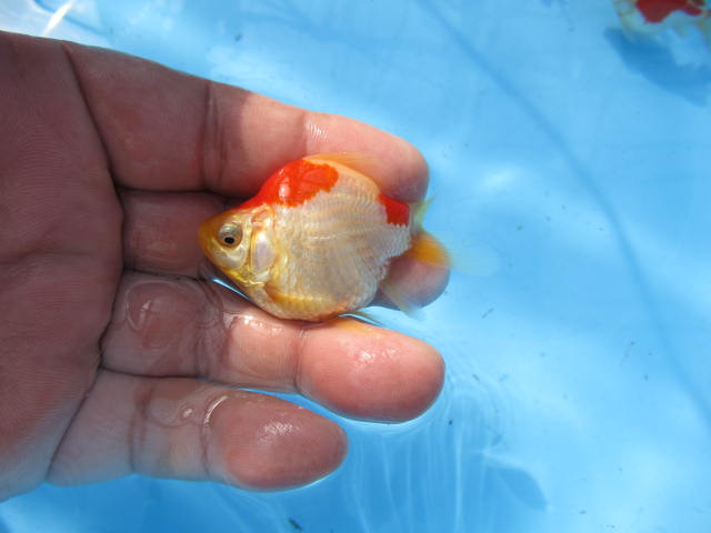 f0214235_15344269.jpg