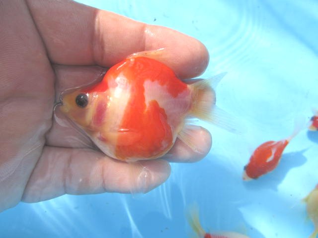 f0214235_157569.jpg