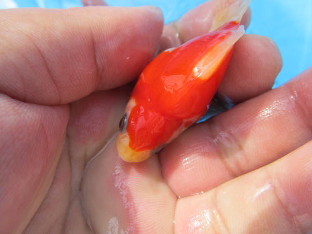 f0214235_162060.jpg