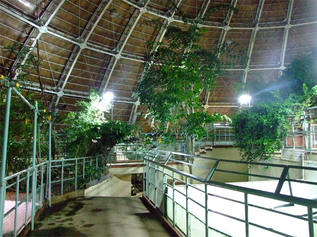 ナイトズー(?) in 草津温泉_a0179837_14355798.jpg