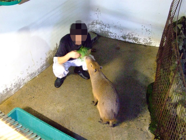 ナイトズー(?) in 草津温泉_a0179837_1912631.jpg
