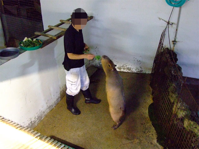 ナイトズー(?) in 草津温泉_a0179837_1935121.jpg