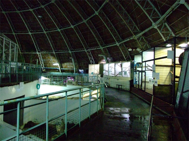 ナイトズー(?) in 草津温泉_a0179837_194625.jpg