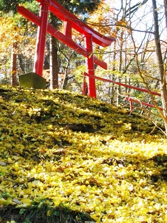 c0204740_217814.jpg