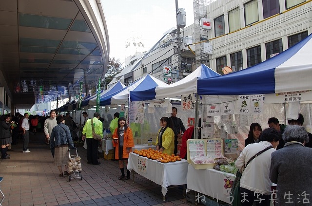 吉祥寺・全国農業高校収穫祭_a0009142_1644492.jpg