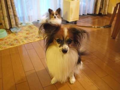 e0100046_21115574.jpg