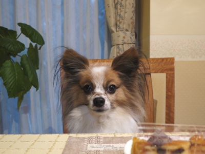 e0100046_21151373.jpg