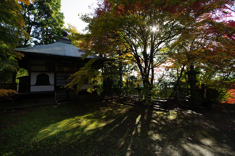 f0152550_20504846.jpg