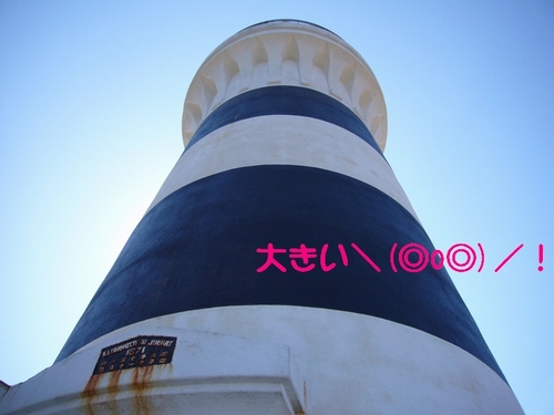 d0204154_1851486.jpg