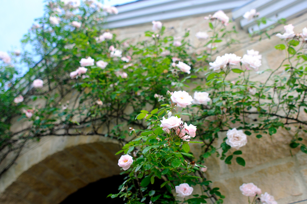 f0176458_1014898.jpg