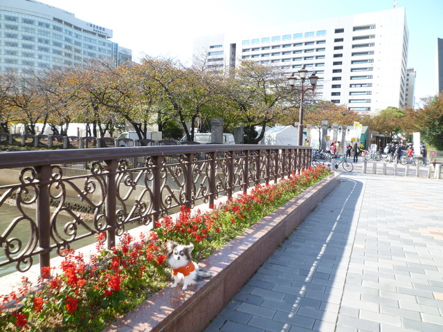 b0137459_22352962.jpg