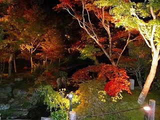 a0104162_105536.jpg