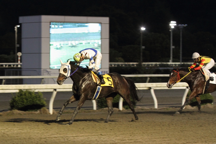 赤岡修次騎手、地方競馬通算2000勝達成！！_a0077663_2214322.jpg