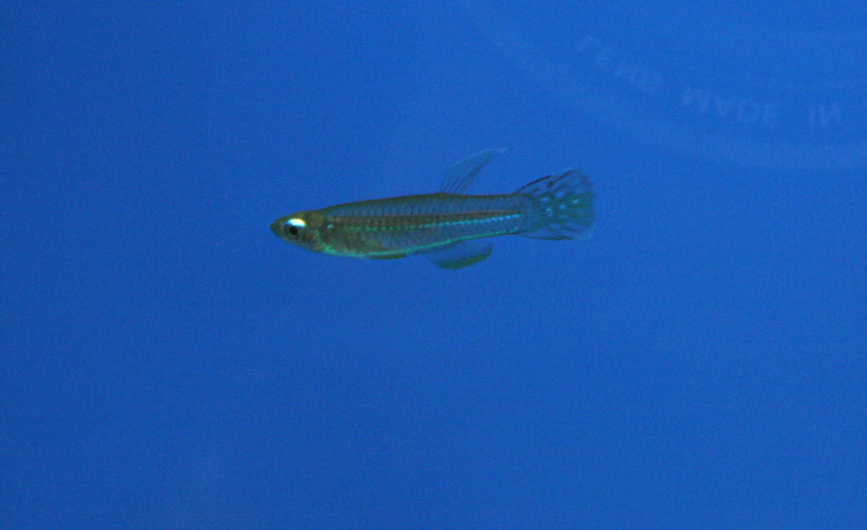 a0162263_1917831.jpg