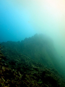 e0096370_18455590.jpg