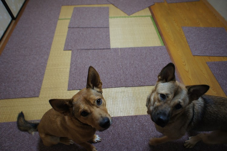 f0225871_28237.jpg