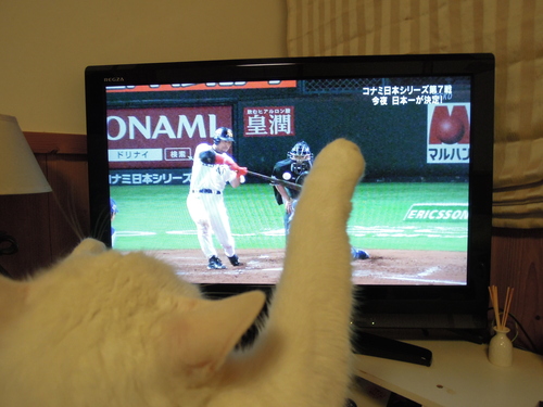 窯上げの日とホークス優勝。_d0195183_23532561.jpg