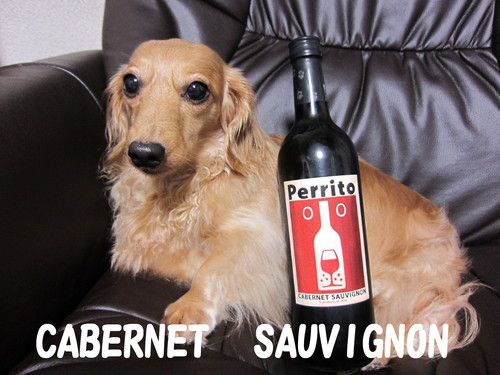 カベルネ・ソーヴィニヨン Perrito_b0200291_20293711.jpg